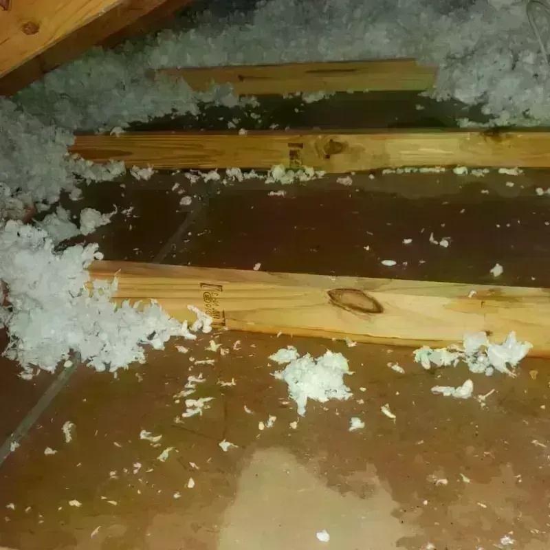 Attic Water Damage in New Springville, NY